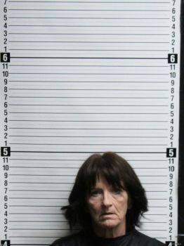 Tina Gregg Stephens Mugshot