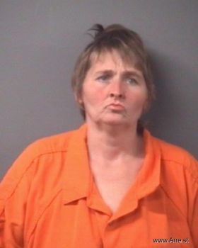 Tina Ann Wells Mugshot