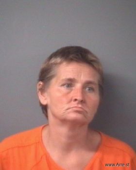 Tina Ann Wells Mugshot