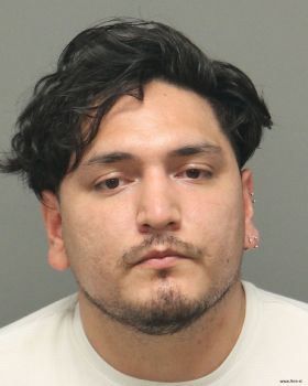 Tomas Jonathan Medina-munguia Mugshot