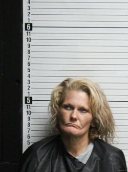 Tonya Hall Dreyer Mugshot