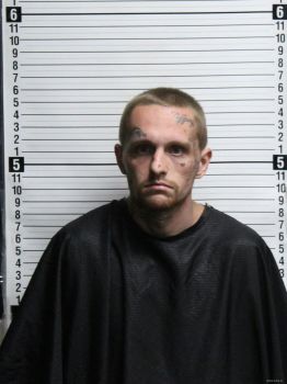 Trevor Joe Freeman Mugshot