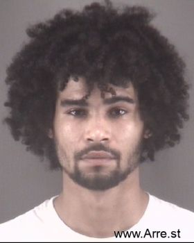 Tristin Robert Brown Mugshot