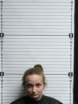 Tyler Alexandra Collins Mugshot