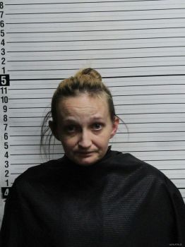 Tyler Alexandra Collins Mugshot