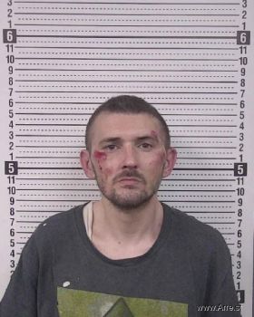 Tyler Lee Stafford Mugshot