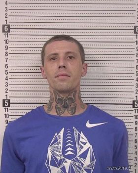 Tyler Harrison Wade Mugshot