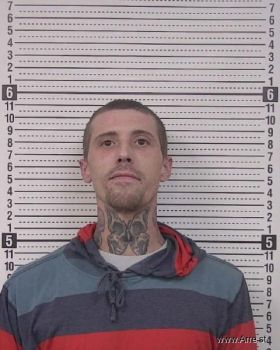 Tyler Harrison Wade Mugshot