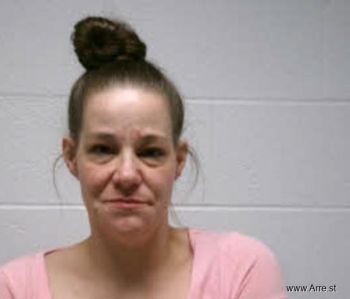 Valerie Sue Bierlein Mugshot