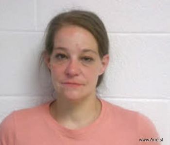 Valerie Sue Bierlein Mugshot