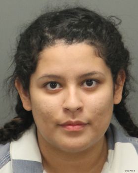 Vanessa Yamileth Alvarez Mugshot