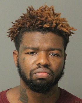 William Diontre Jr Sanders Mugshot