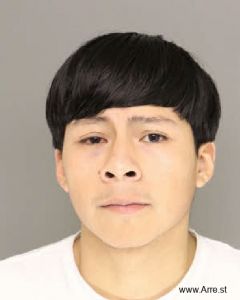 Alexis Ocampo Arrest Mugshot