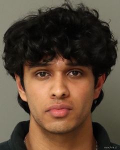 Aarya Paduru Arrest Mugshot