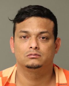 Albenis Medina-romero Arrest Mugshot