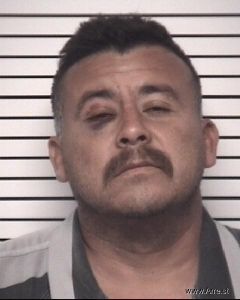 Alejandro Humanes-castanon Arrest