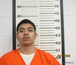 Alexis Prado Arrest Mugshot