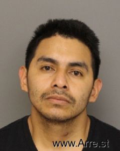 Ali Gonzalez Arrest Mugshot