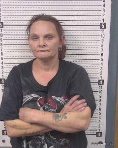 Amanda Ellison Arrest Mugshot