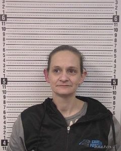 Amanda Mcneil Arrest