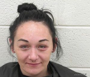 Amanda Warren Arrest