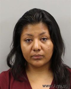 Araceli Cruz Arrest Mugshot