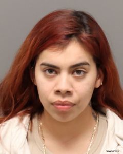 Ashley Rocha-hernandez Arrest