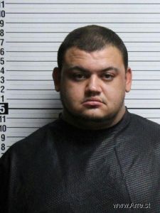 Austin Martin Arrest