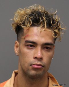 Bill Huynh Arrest Mugshot