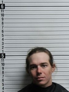 Bradley Rivenbark Arrest