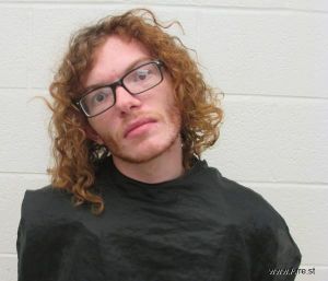 Brandon Parton Arrest