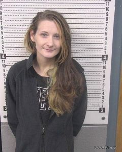 Brooklyn Stiles Arrest Mugshot