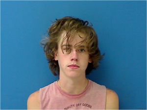 Casey Robinson Arrest Mugshot