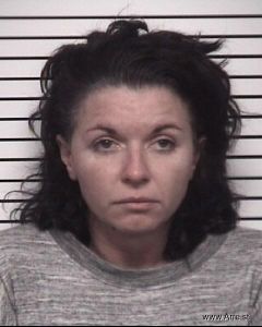 Crystal Cook Arrest