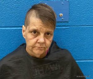 Cynthia Coffel Arrest Mugshot