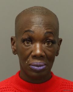 Cynthia Ritter Arrest Mugshot