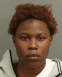 Danae Lewis Arrest Mugshot