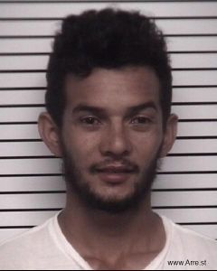 Dani Galo-flores Arrest Mugshot