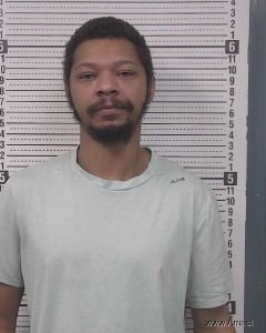 Devin Elleby Arrest Mugshot