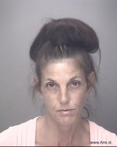 Diana Britt Arrest Mugshot