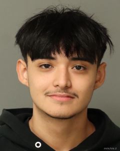 Erick Fernandez-montoy Arrest Mugshot