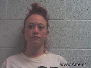 Heather Skinner Arrest Mugshot