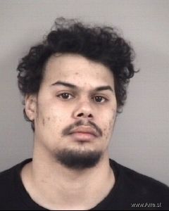 Ian Fralix Arrest Mugshot