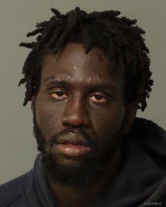 Jordan Phillips Arrest Mugshot