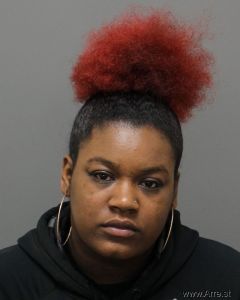 Kayla Sanders Arrest Mugshot