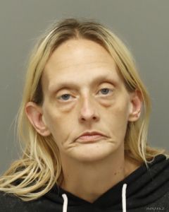 Kimberly Cleaver Arrest Mugshot