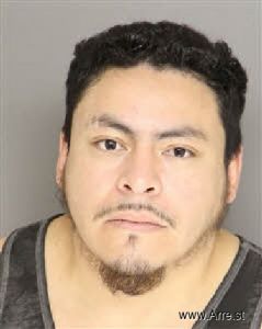 Luis Penaloza Salgado Arrest Mugshot