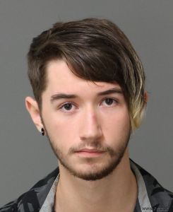 Liam Sullivan Arrest Mugshot