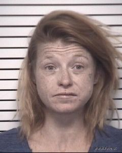 Lisa Cape Arrest Mugshot