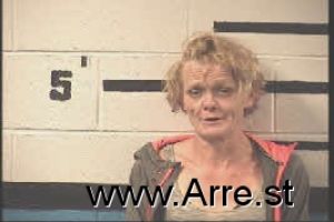 Lisa Sheehan Arrest Mugshot
